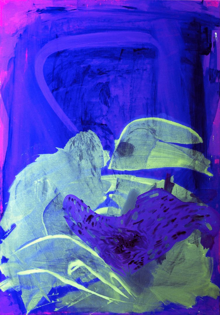 Desert Flowers III by Paula Fraile under UV light, view larger